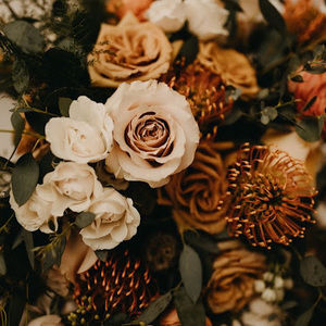 Meet your Posher, Lynette